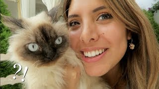 NECESITAMOS SU AYUDA  :) VLOGMAS 21 Y 22 | ValeriaVlogs