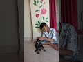 #doberman puppy# Bruno masti time#
