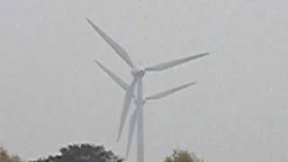 two windmills