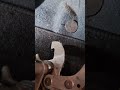 2009 ford ka clutch pedal replacement