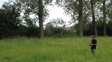 Blade mcpx inverted (first try)