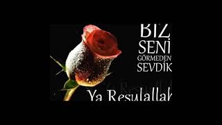 Biz Seni Görmeden Sevdik Ya Resulallah.🌹