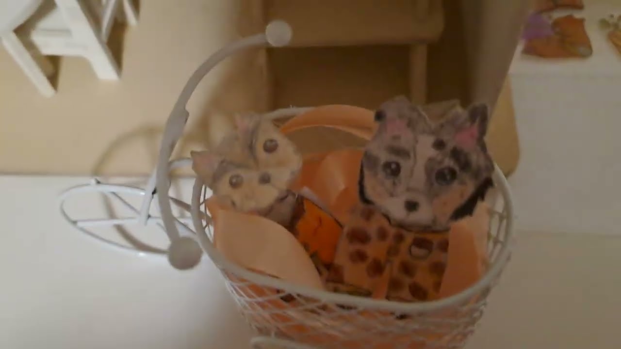 Прятки с бумажными собаками🐾