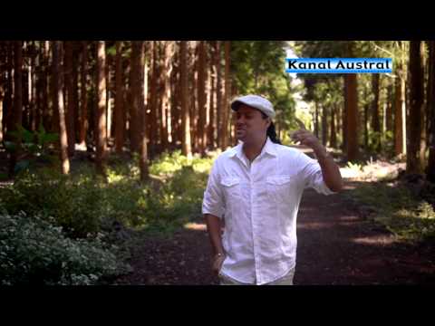 HERVE HIMBERT/La haut (île de la Réunion) Nouveauté sur Kanal Austral TV
