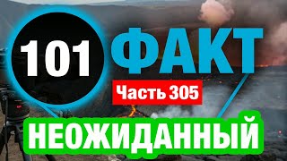 картинка: 101 Великолепный Факт В Который Вы Не Поверите