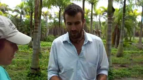 Farmer Jay McCobb answers about Cauliflower.mov