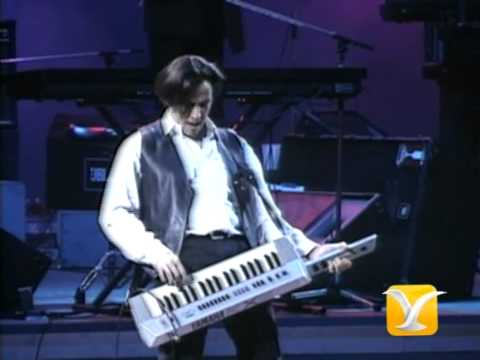 Alejandro Lerner, Algo de mi en tu corazón, Festival de Viña 1993