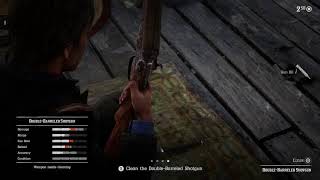 Testing Out Obs While playing rdr2