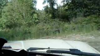 Picture 172.avi