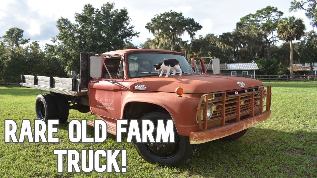 1966 Ford F500 Old Rare Antique Truck Youtube