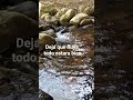 Deja que fluya no te estes estresando, no arruines tu dia.