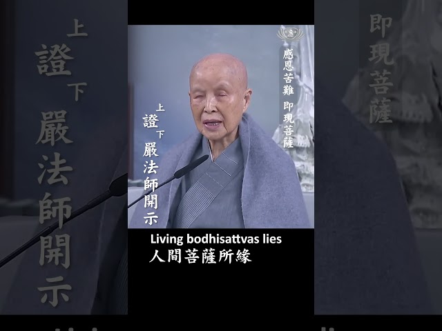 感恩苦難 即現菩薩