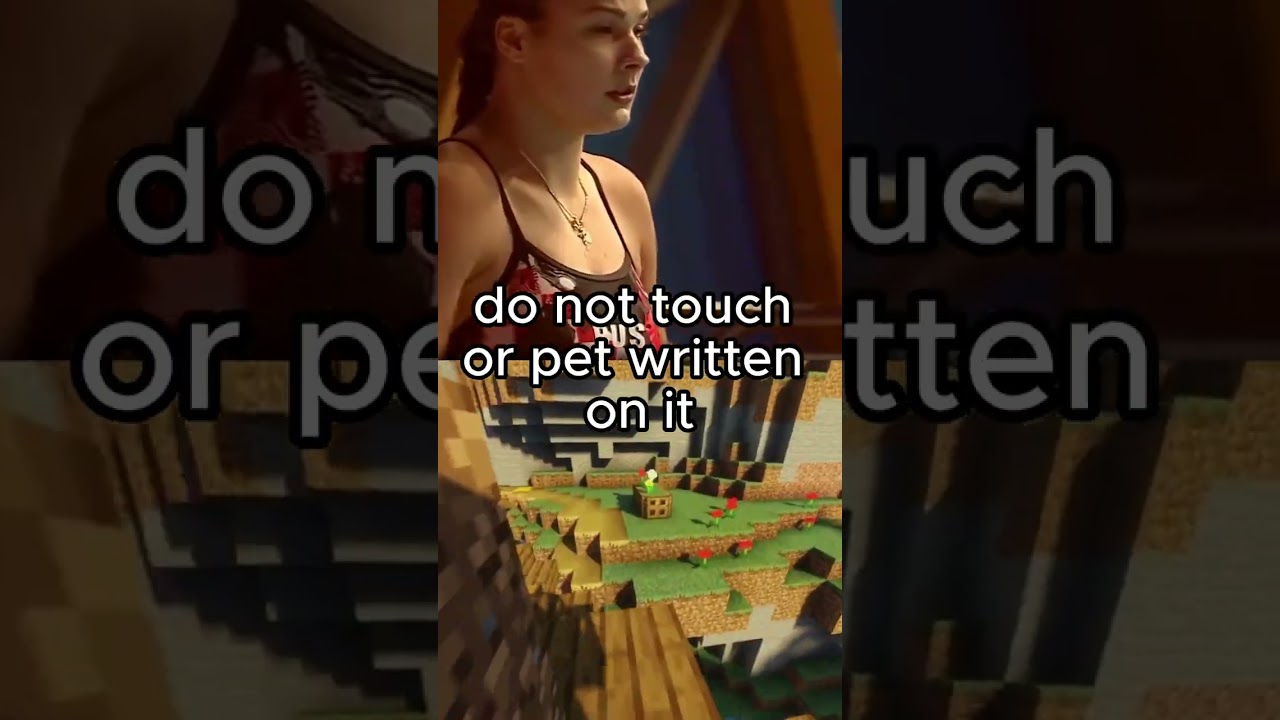 AITA for asking to pet a kid's wheelchair? 🫣♿