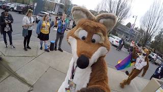 Vancoufur 2026 - Fursuit Parade POV by Univaded Fox