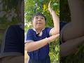 Bạn Xám lại vi phạm 😖Bé Sún | Sam Sam #shortsvideo