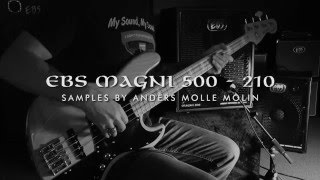EBS Magni 500 - 2x10 model samples