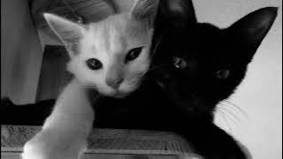 Kendis - Ours to keep ( speed up version )