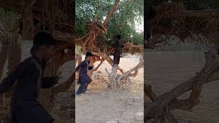 #funny #sindhpakistan #abuzar