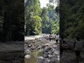Seharian berjalan kaki menelusuri sungai