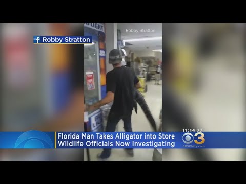 Man Brings Alligator Into Florida Convenience Store As 'Prank'