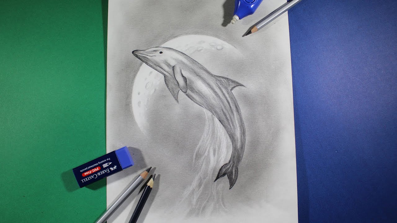 How to Draw a Dolphin (Step by Step Pictures)