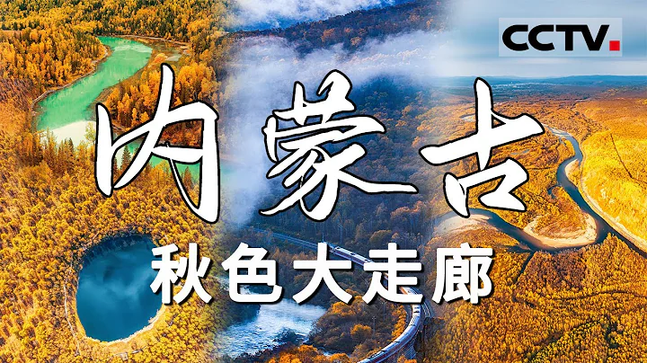 “藏着一半中國”的內蒙古 你可能並不了解！覆蓋了中國最廣的森林 最大的沙地 最密集的火山帶！內蒙古遠不是“大草原”所能概括【CCTV紀錄】 - 天天要聞