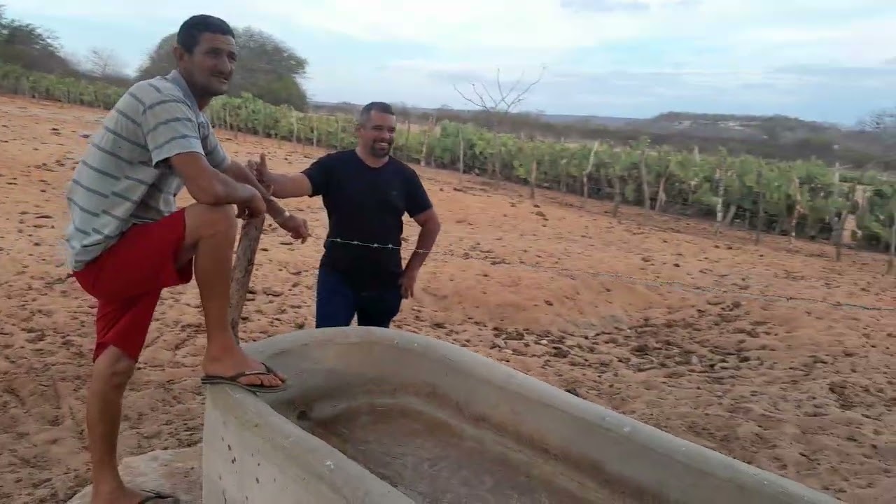Benedito colocando sal no saleiro do gado 
