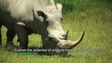 How AI can help to save endangered species#ai  #animals #zoo
