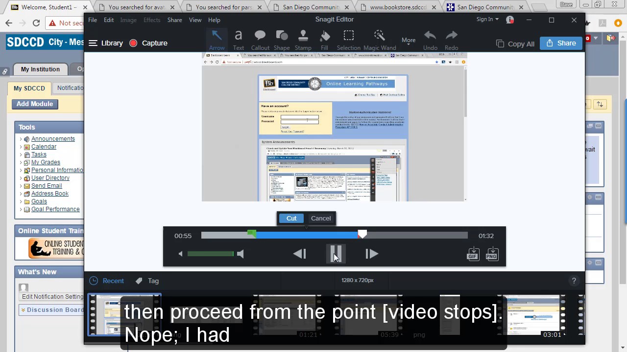 timpelapse snagit video