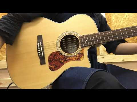 GUILD OM-240CE エレアコ (管理テ) Amazon | GUILD (ギルド) エレアコギター アーチバック シリーズ