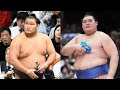 🔥🏆【速報】安青錦が横綱候補！2026年大相撲の覇権争い徹底予想