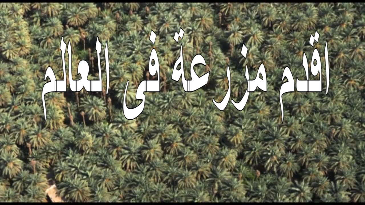  - HeartVod