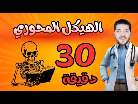 الدعامة في الإنسان الهيكل المحوري كاملا