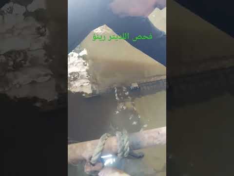 لديتر رينؤ فحص تنضيف