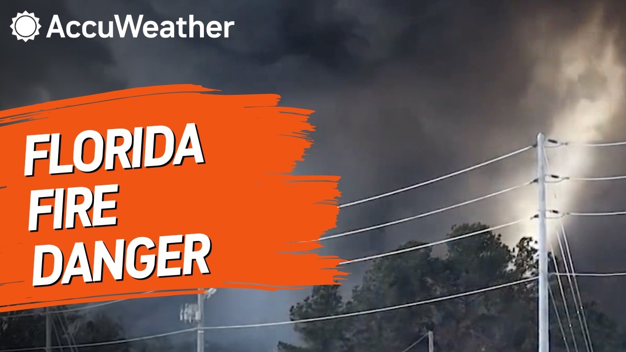 Самая сильная за последние десятилетия засуха усиливает пожароопасность во Флориде.