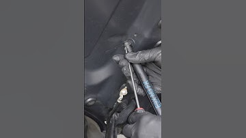 HOW TO: Replace worn out hood struts on your BMW (Simple)!