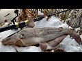 Fishing for Catfish In A Snow Storm - Confronting Campers In My Fishing Spot