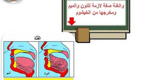 تعلَّم التجويد النون والميم المشددتان