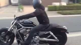v rod vrod vrsca rinehart exhaust