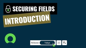 ServiceNow – Securing Fields – 1  Intro