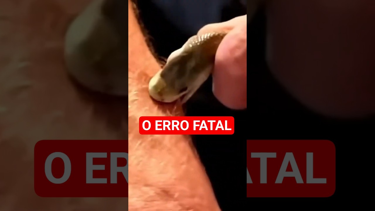 Mamba-Negra: O Erro de Um Segundo 