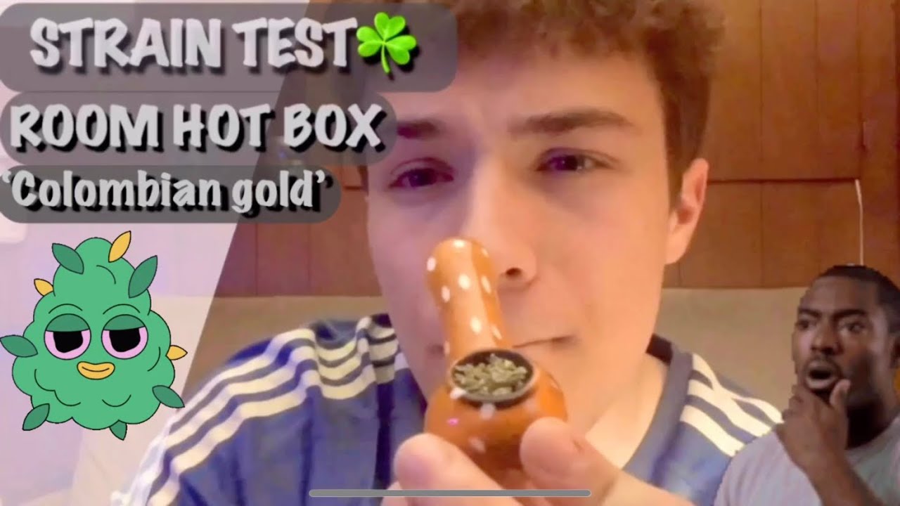 STRAIN TEST: ‘COLUMBIAN GOLD’