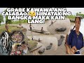 GANITO MAG LIPAT NG CALABAO SAMIN HAHATAKIN NG BANGKA MALIPAT LANG NAG LUTO NG BAKI|PINAS VLOG 🇵🇭