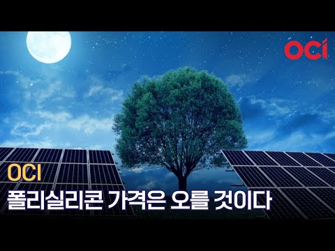   OCI 경제지표상 폴리실리콘 가격은 오를 수 밖에 없다 Feat 투자포인트