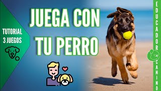 Cómo JUGAR a TRAER la PELOTA y SOLTAR con tu PERRO (+ sentado y tumbado)