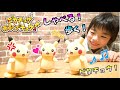 【ポケモンのおもちゃ】ピカチュウあるくでチュウ！ ピカチュウの大行進をやってみたら可愛すぎた！Pokémon ポケットモンスター コーキtv