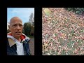 Learn Polish | Zobaczcie jak urósł sumak