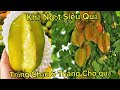 Cây Giống Khế Ngọt F1 Hàng Chuẩn Quả To Múi Giày