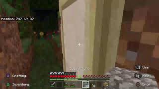 Minecraft Bedrock on PS4