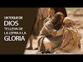 Un Toque de Dios te lleva de la Lepra a la Gloria de Dios |  Pastor Felipe Reyes